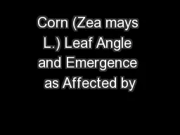 Corn (Zea mays L.) Leaf Angle and Emergence as Affected by