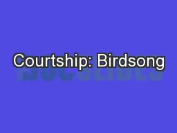 Courtship: Birdsong