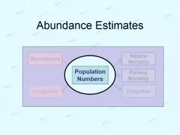 Abundance Estimates