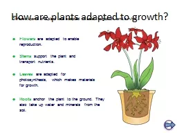 How are plants adapted to growth?
