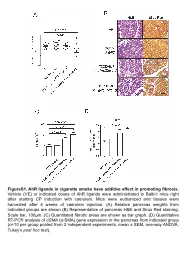 FigureS1.