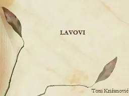 PPT-LAVOVI thumbnail