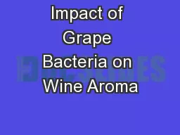 Impact of Grape Bacteria on Wine Aroma