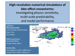 High-resolution numerical simulations of lake-effect snowst