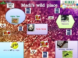 . . Madi’s wild place