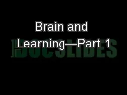 Brain and Learning—Part 1