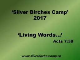‘Silver Birches Camp’ 2017