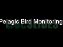 Pelagic Bird Monitoring:
