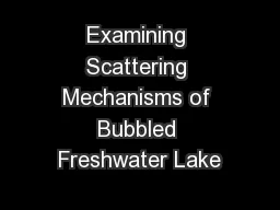 Examining Scattering Mechanisms of Bubbled Freshwater Lake