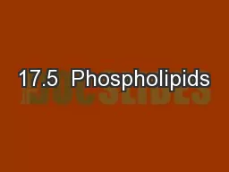 17.5  Phospholipids