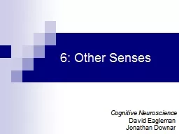 6 : Other Senses