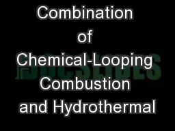Combination of Chemical-Looping Combustion and Hydrothermal