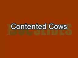 Contented Cows