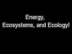 Energy, Ecosystems, and Ecology!