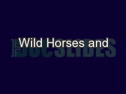 Wild Horses and