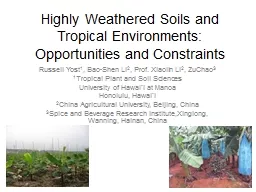 Highly Weathered Soils and Tropical Environments: Opportuni