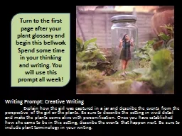Writing Prompt: Creative Writing