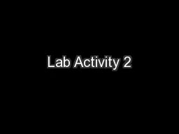 Lab Activity 2
