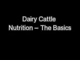 Dairy Cattle Nutrition – The Basics