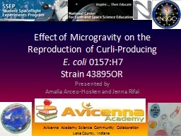 Effect of Microgravity on the