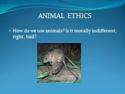 ANIMAL ETHICS