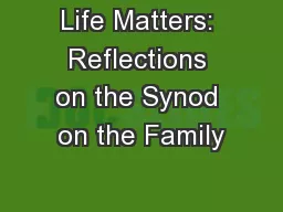 Life Matters: Reflections on the Synod on the Family