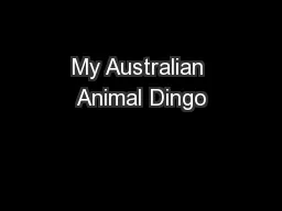 My Australian Animal Dingo