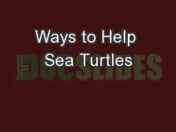 Ways to Help Sea Turtles