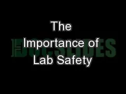 The Importance of Lab Safety