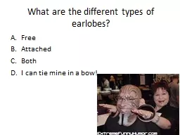 What are the different types of earlobes?