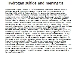 Hydrogen sulfide and meningitis