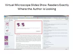 Virtual Microscope Slides Show Readers Exactly Where the Au