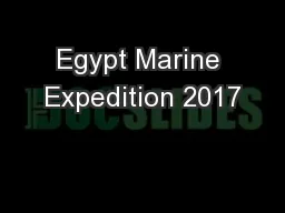 Egypt Marine Expedition 2017
