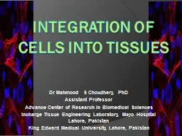 INTEGRATION OF CELLS INTO TISSUES