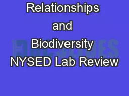 Relationships and Biodiversity NYSED Lab Review