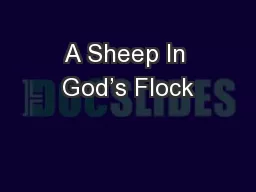 A Sheep In God’s Flock