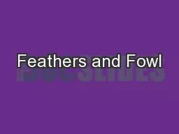 Feathers and Fowl