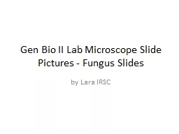 Gen Bio II Lab Microscope Slide