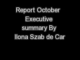 Report October  Executive summary By Ilona Szab de Car