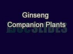 Ginseng Companion Plants