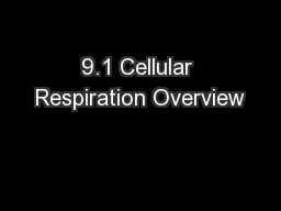 9.1 Cellular Respiration Overview
