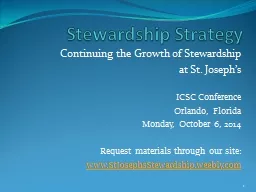 Stewardship Strategy