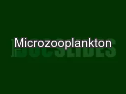Microzooplankton