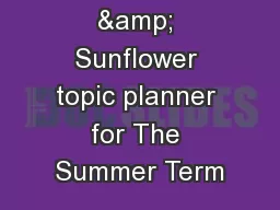 Beanstalk & Sunflower topic planner for The Summer Term