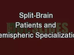 Split-Brain Patients and Hemispheric Specialization