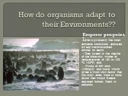 How do organisms adapt to their Environments??