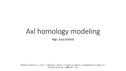 Axl homology modeling