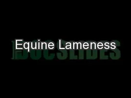 Equine Lameness