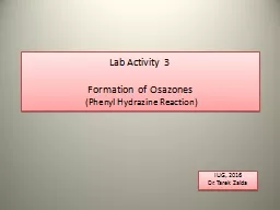 Lab Activity 3