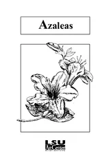 zaleas  zaleas Azaleas the major ornamental plant in L